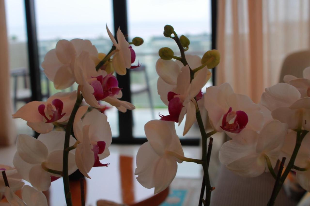 Villa Ocean View And Apartment Da Nang "Free Pick Up" Dış mekan fotoğraf